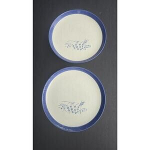 White Glaze Blue Floral Stoneware Salad Plates Set Of 2 Round Dishe
